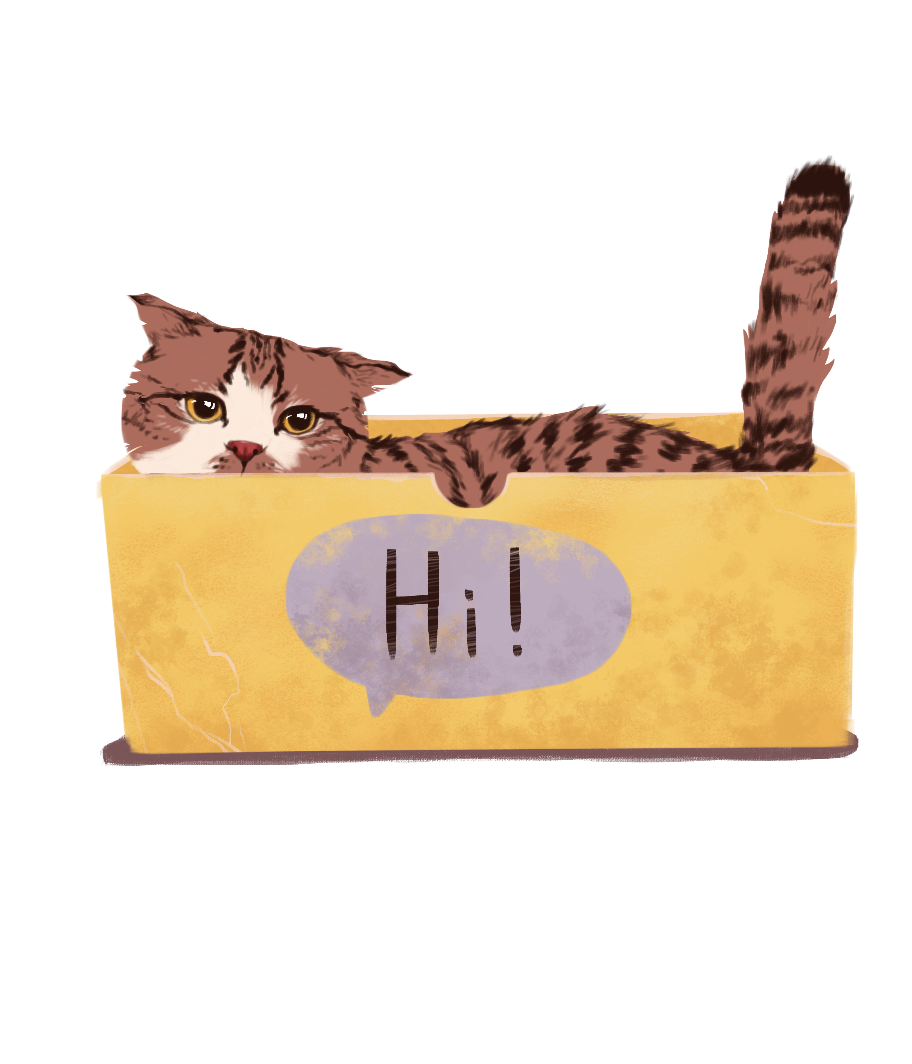Cats1