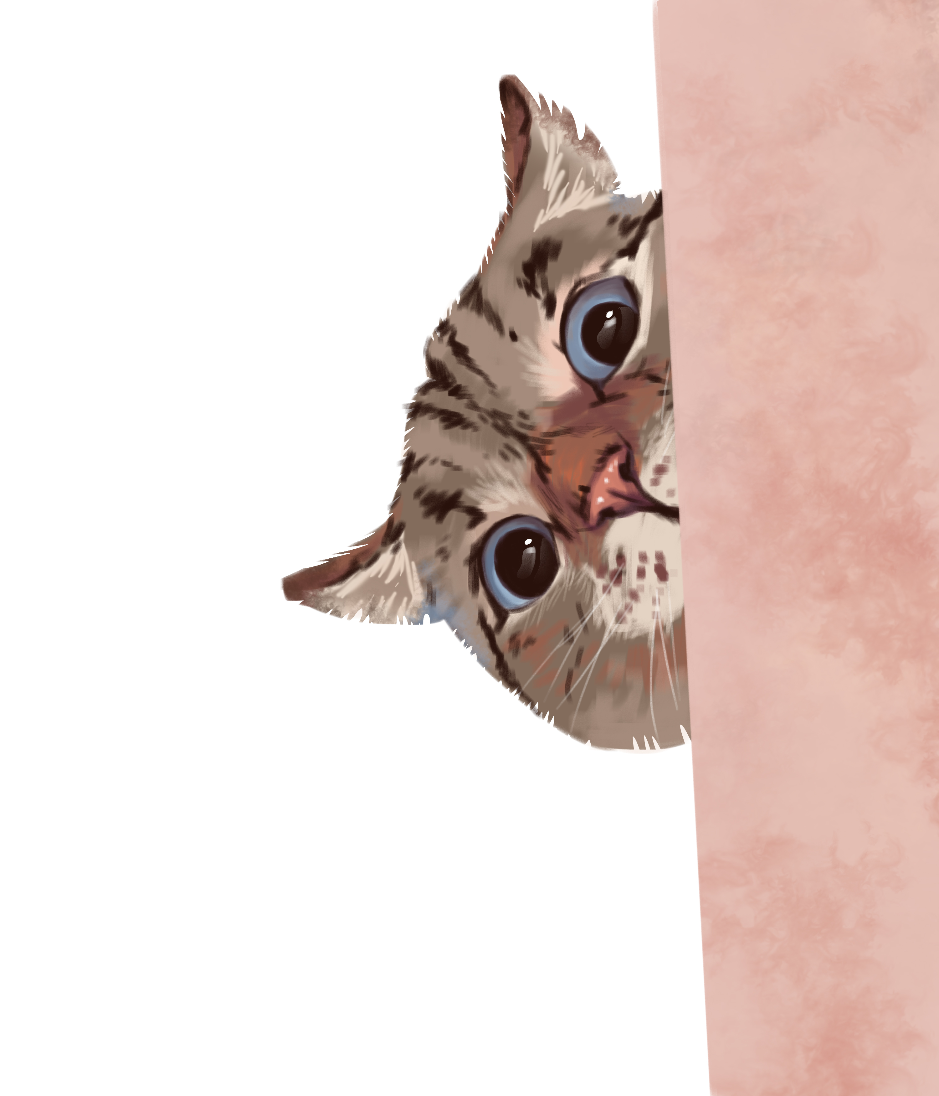 Cats3
