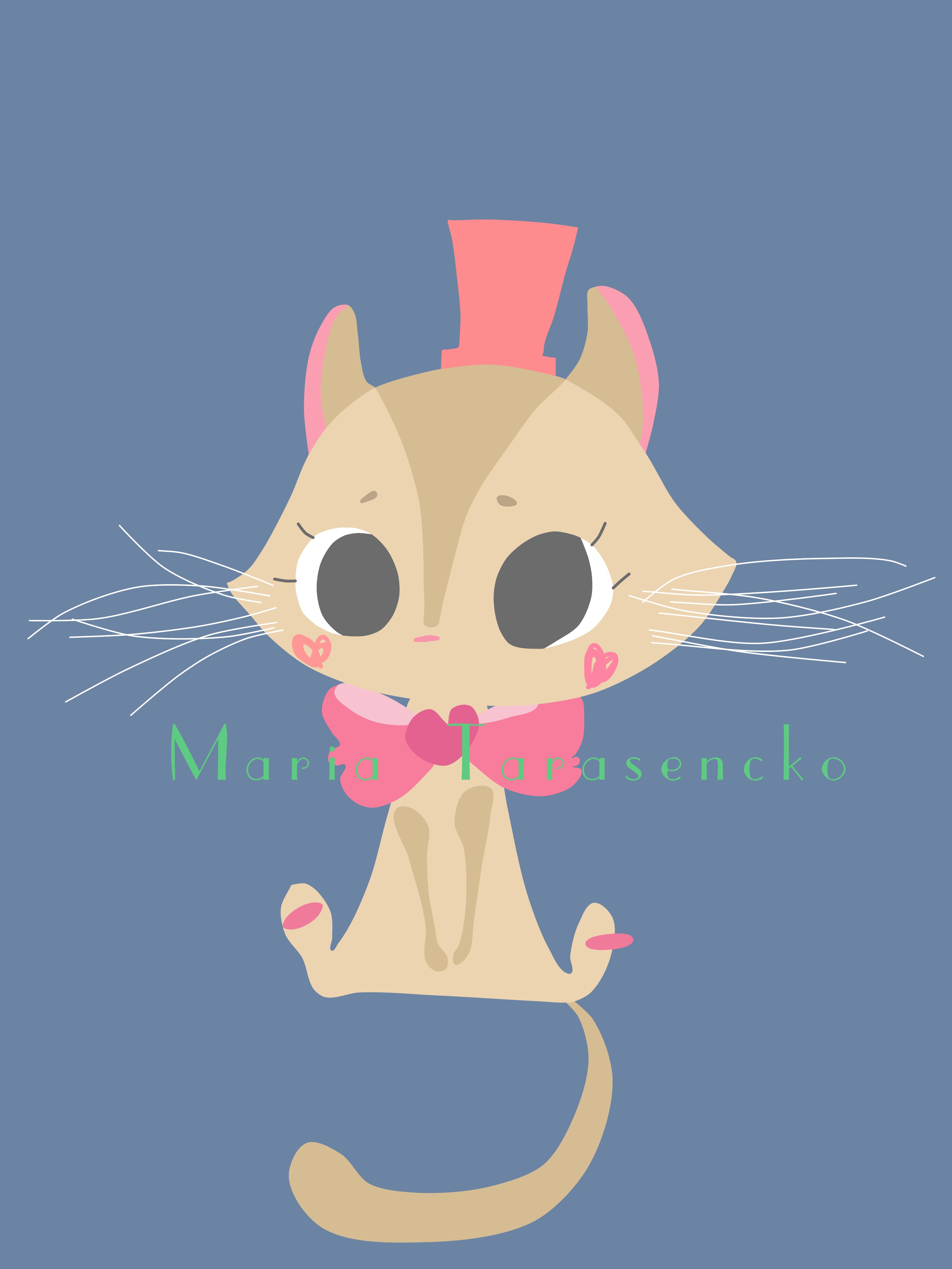 Cat 2   frame 6