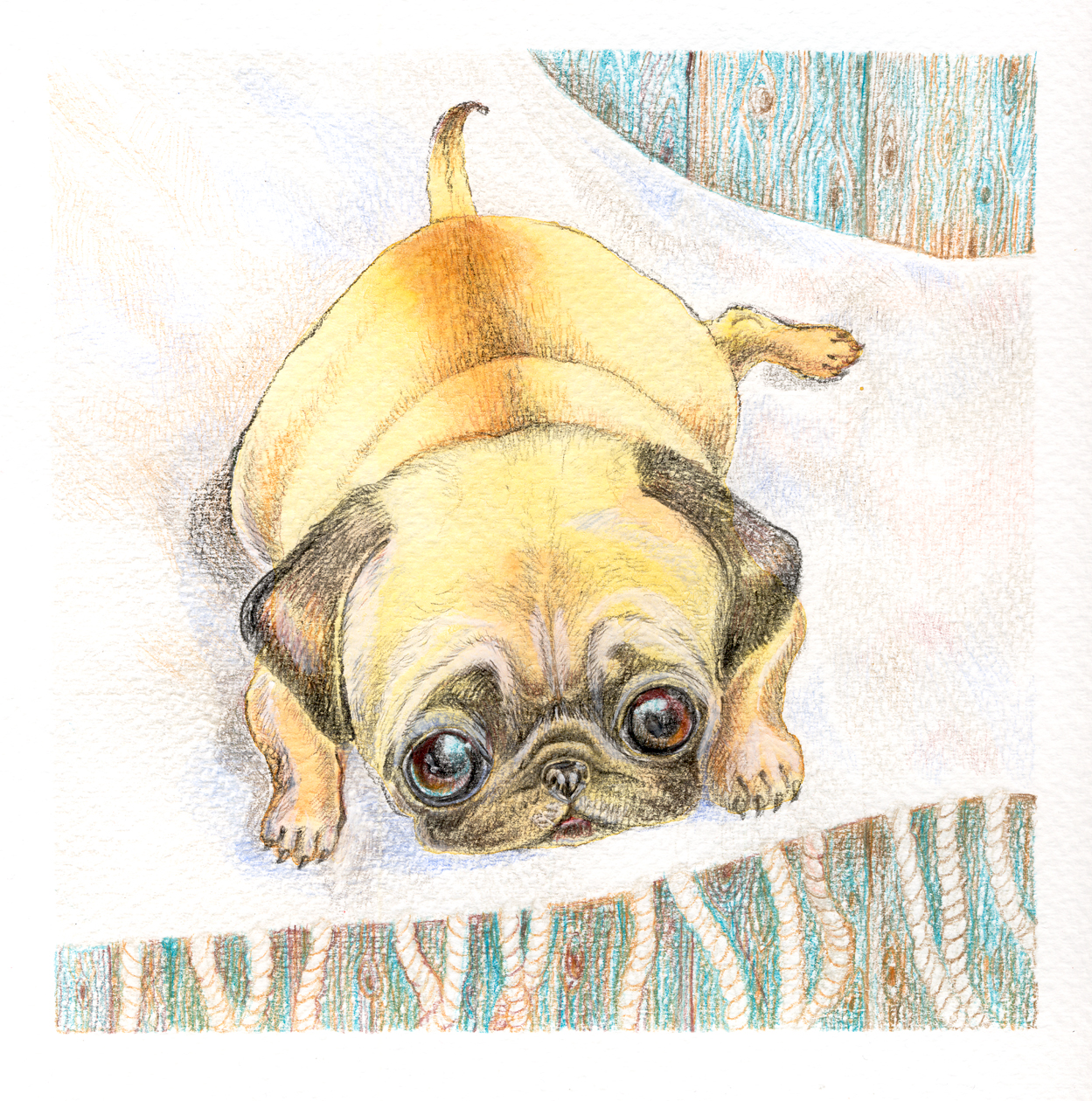 Dog3