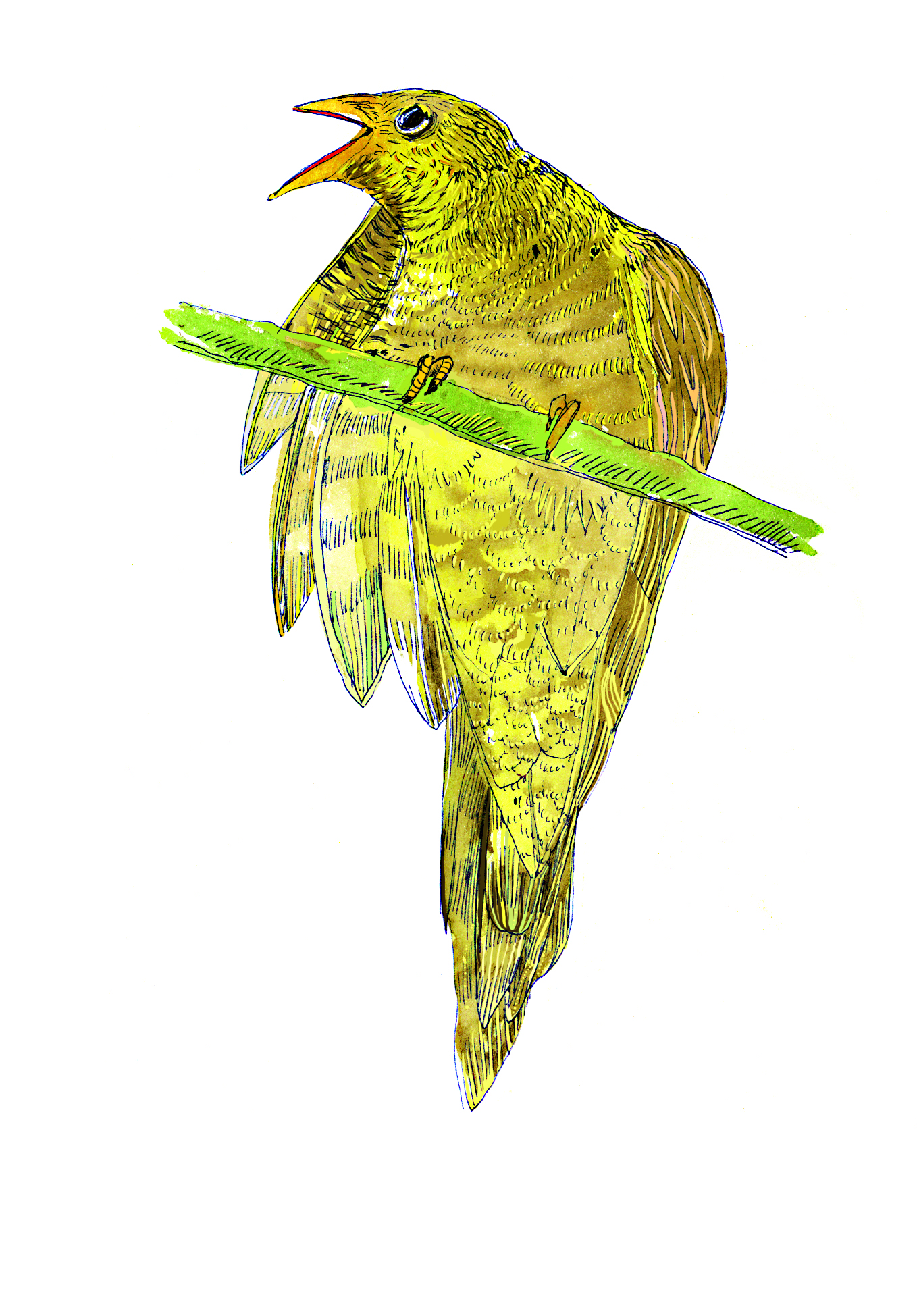 %d0%ba%d1%83%d0%ba%d1%83%d1%88%d0%ba%d0%b0