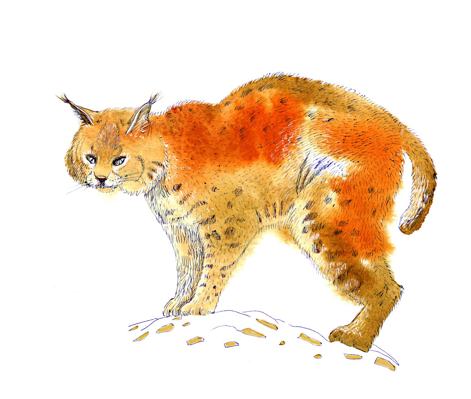 %d1%80%d1%8b%d1%81%d1%8c