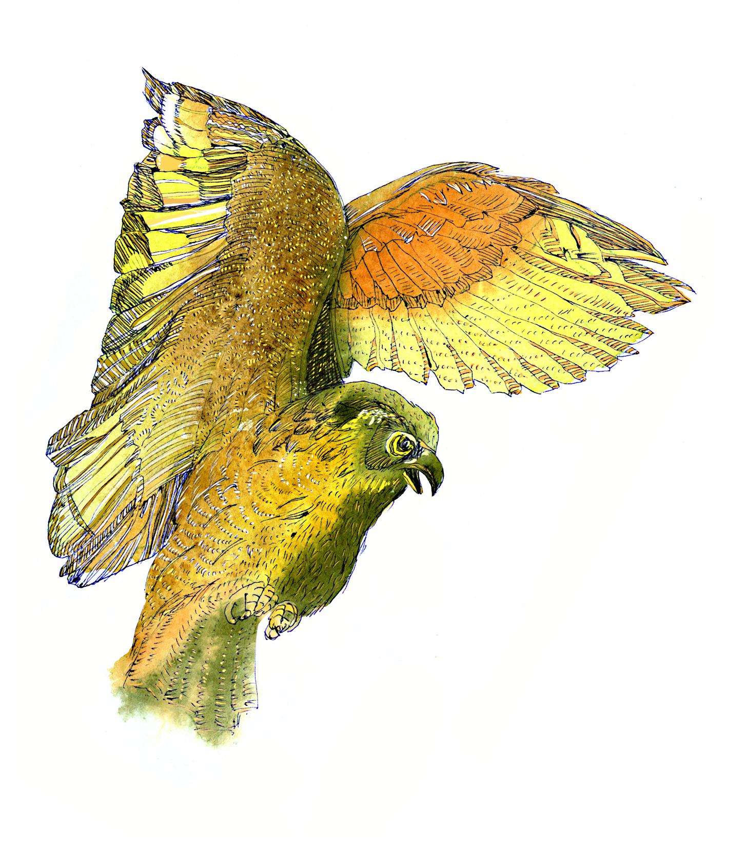 %d0%a4%d0%b8%d0%bb%d0%b8%d0%bd