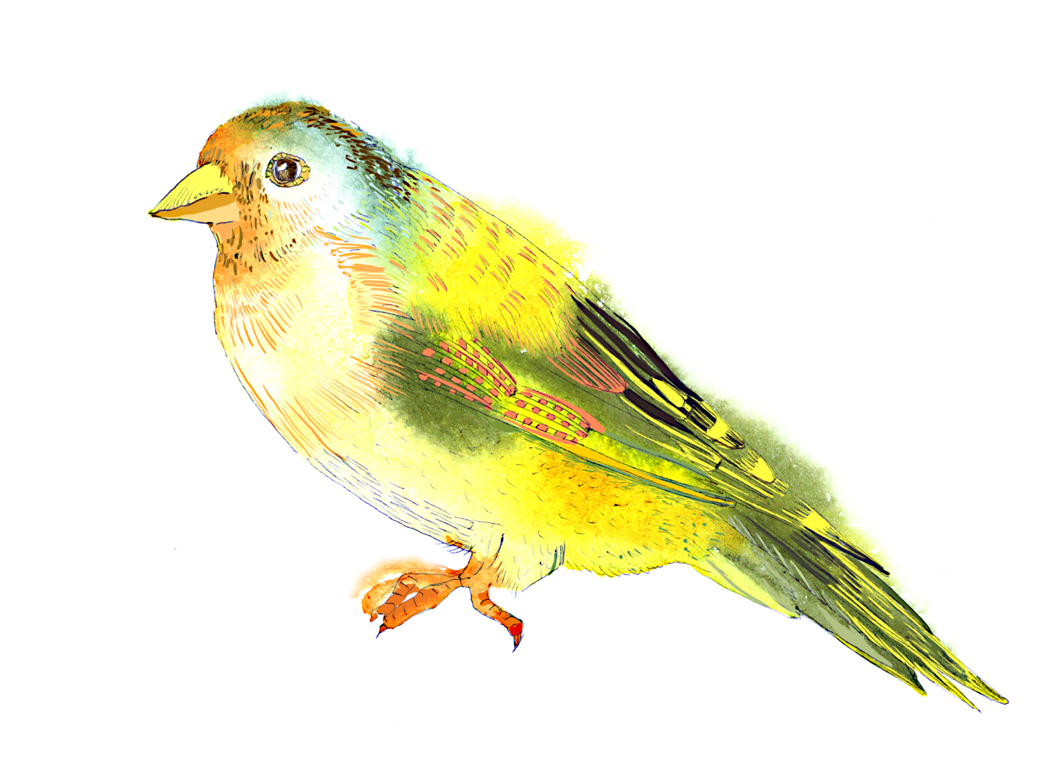 %d1%89%d0%b5%d0%b3%d0%be%d0%bb