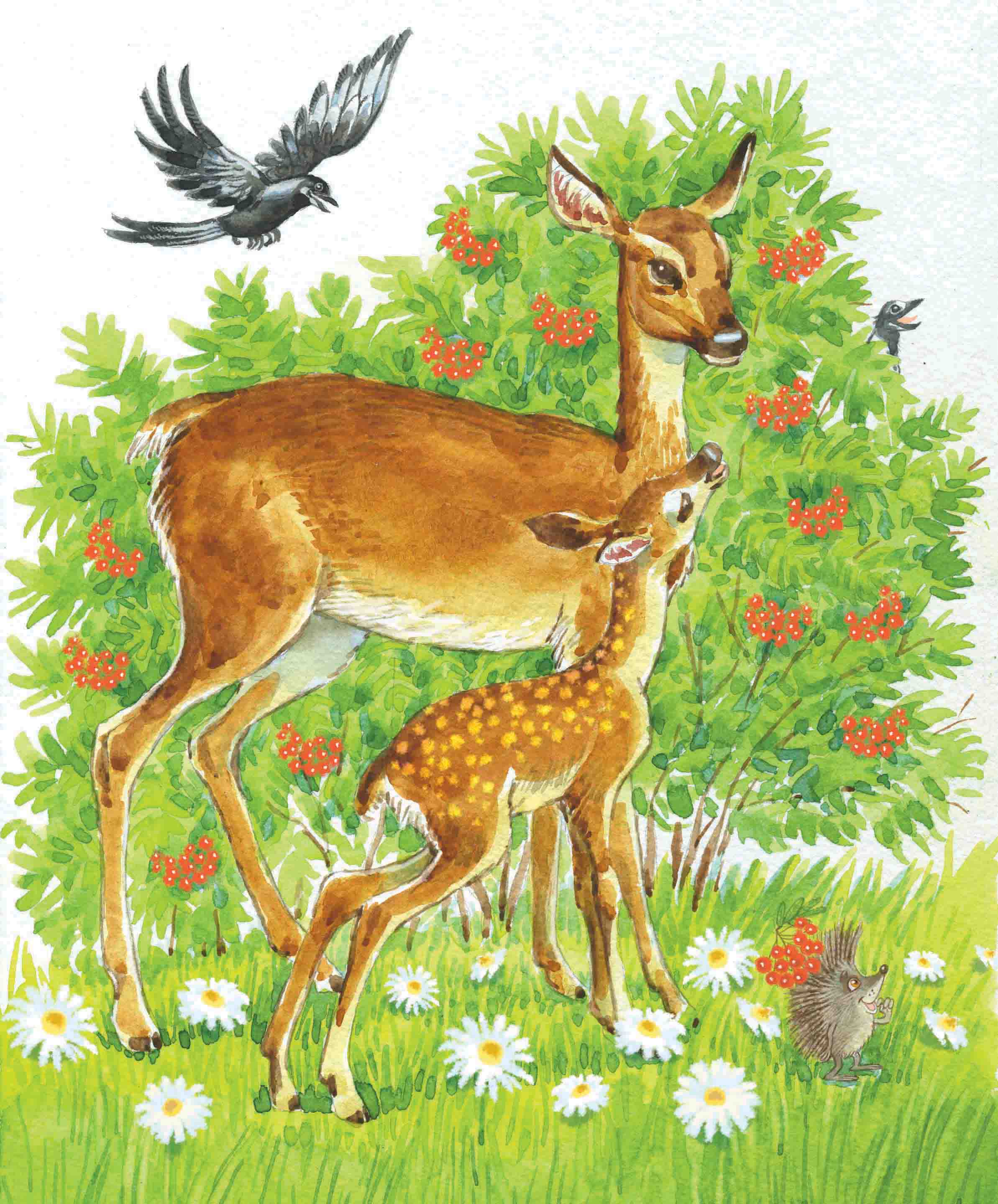 %d1%85%d0%b2%d0%be%d1%81%d1%82%d1%8b