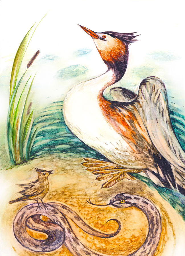 Main 656996 original