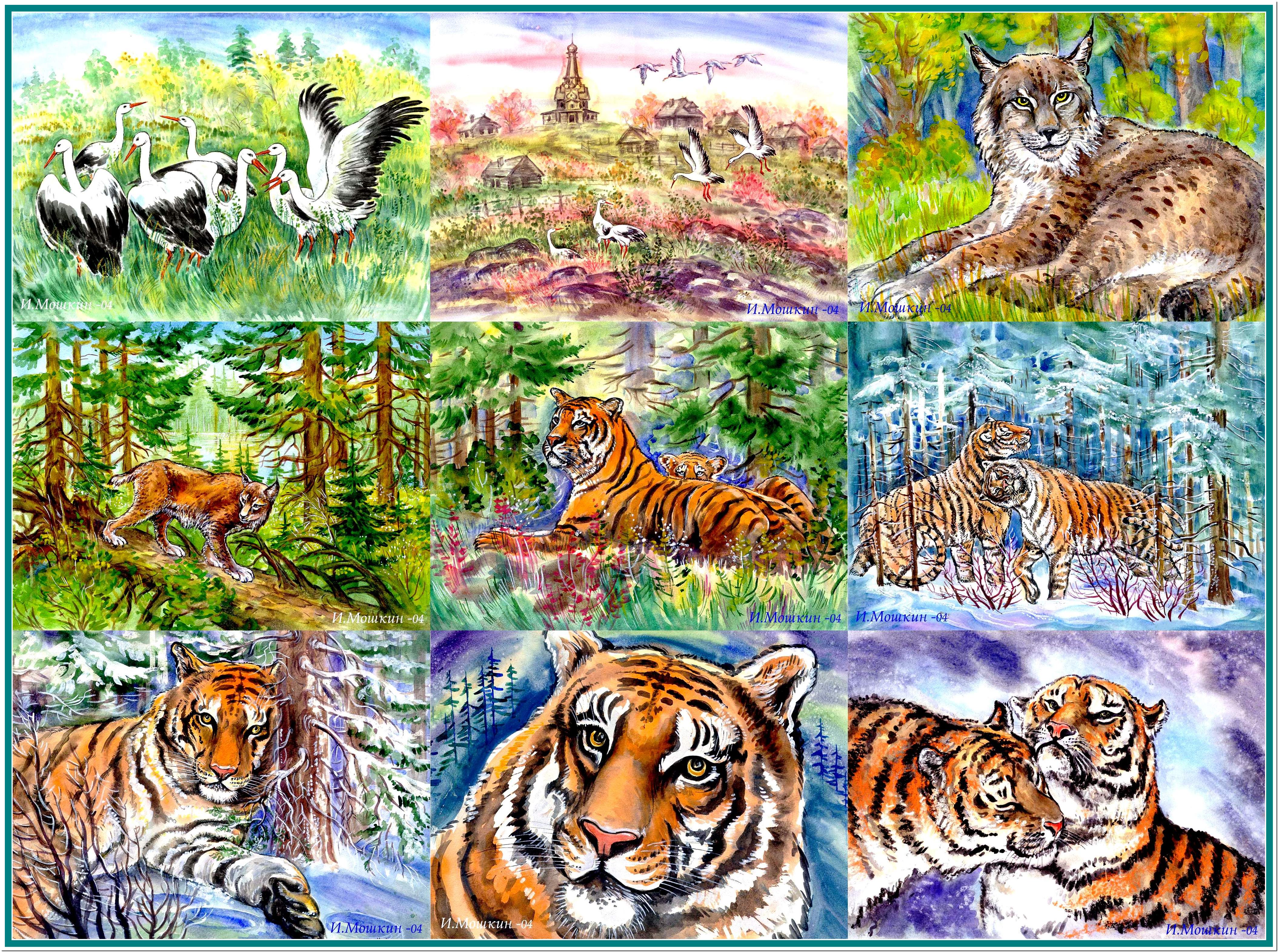 %d0%bb%d0%b8%d1%81%d1%825 %d0%b2%d0%b8%d0%b4