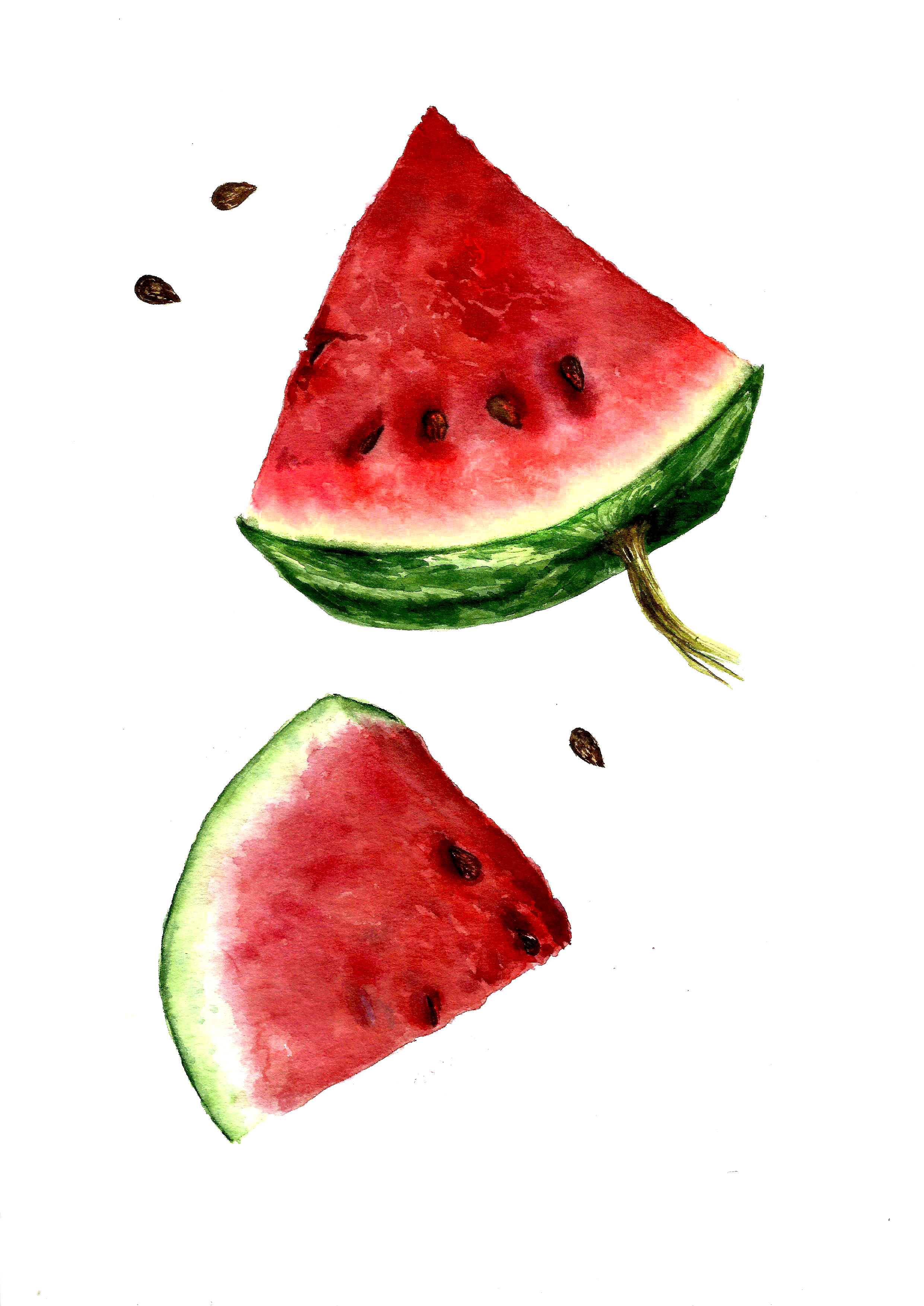 %d0%b0%d1%80%d0%b1%d1%83%d0%b7