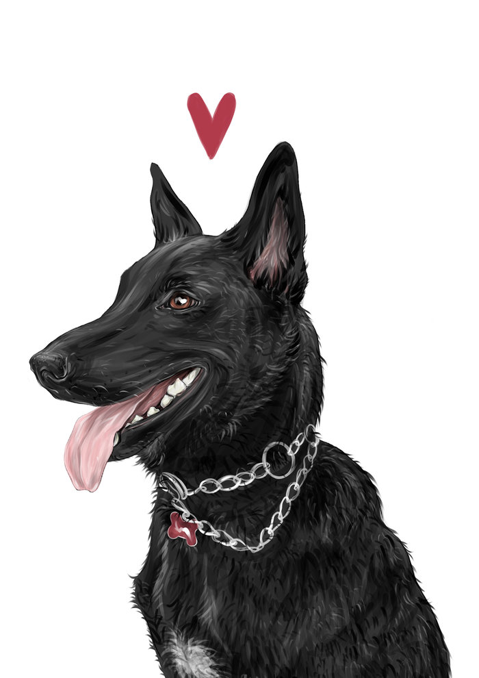 Main 0942c729942611.5d1f21963e0df