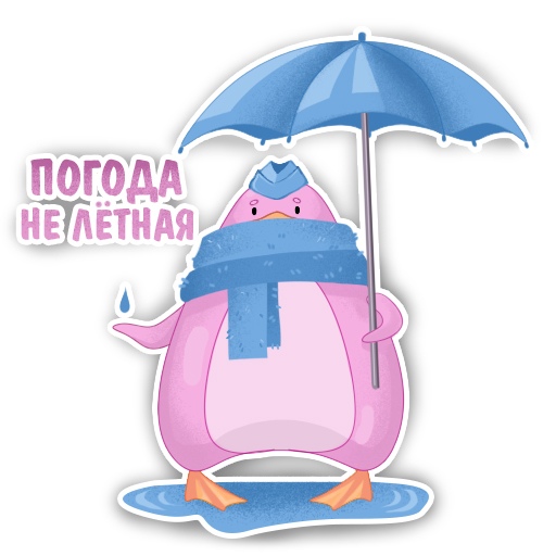 Mtshd8rw ms
