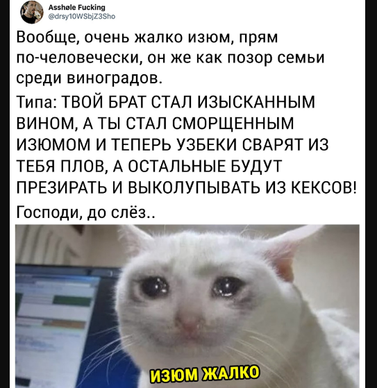 Screenshot 1006