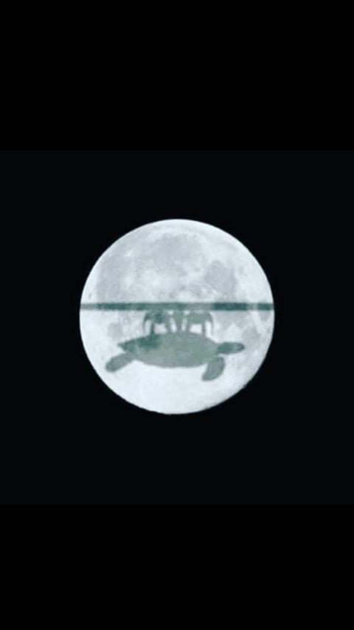 Screenshot 2019 08 31 21 32 53 585 com.facebook.katana