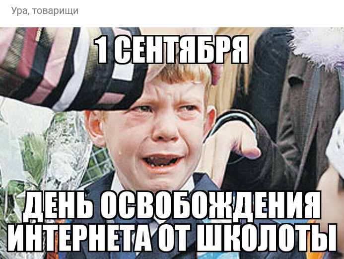 Screenshot 1013