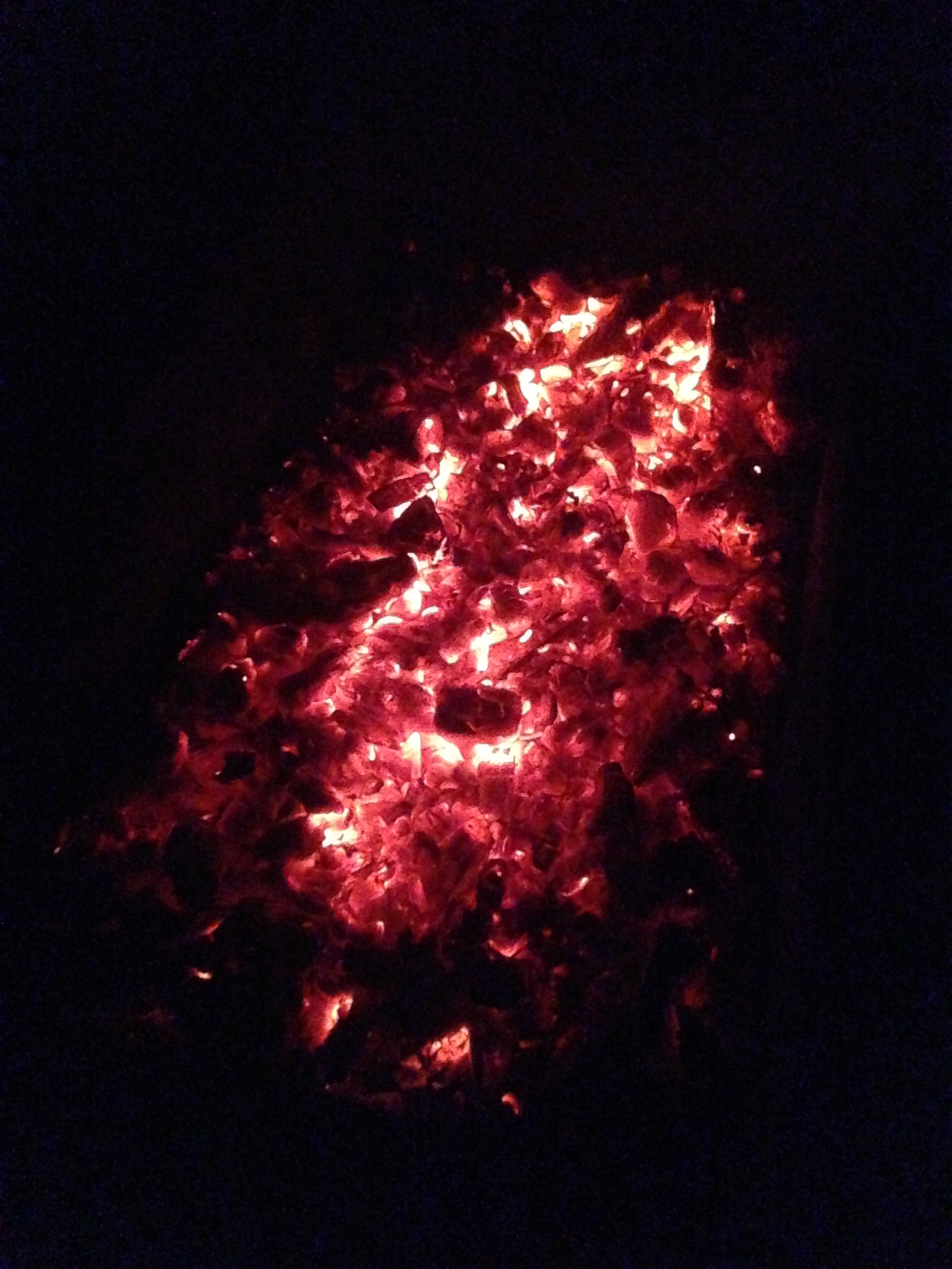019