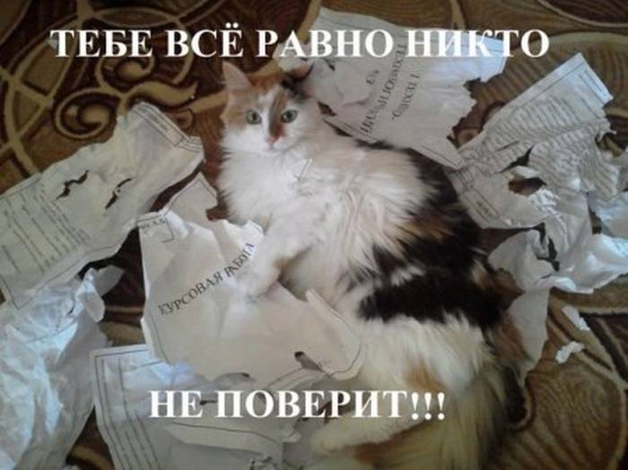 3fba99dc6f800a18c927916d2130e0ec kursovaya rabota