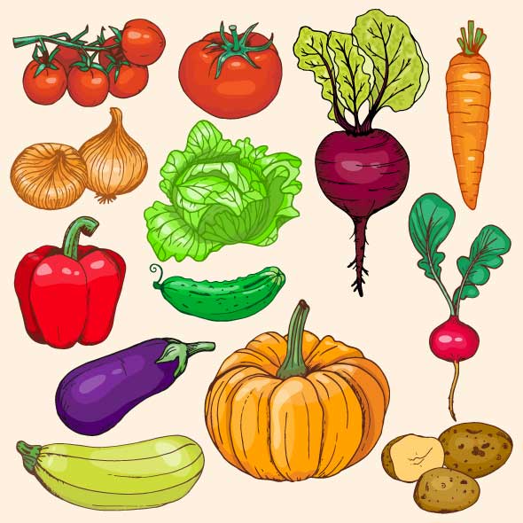 Vegetable set590