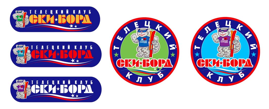 Emblema ski new