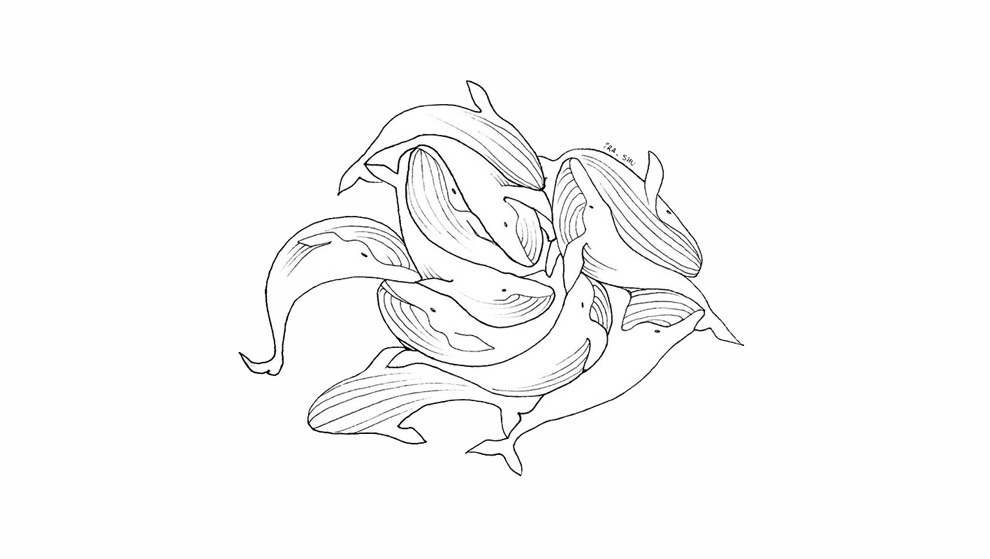 Whales 