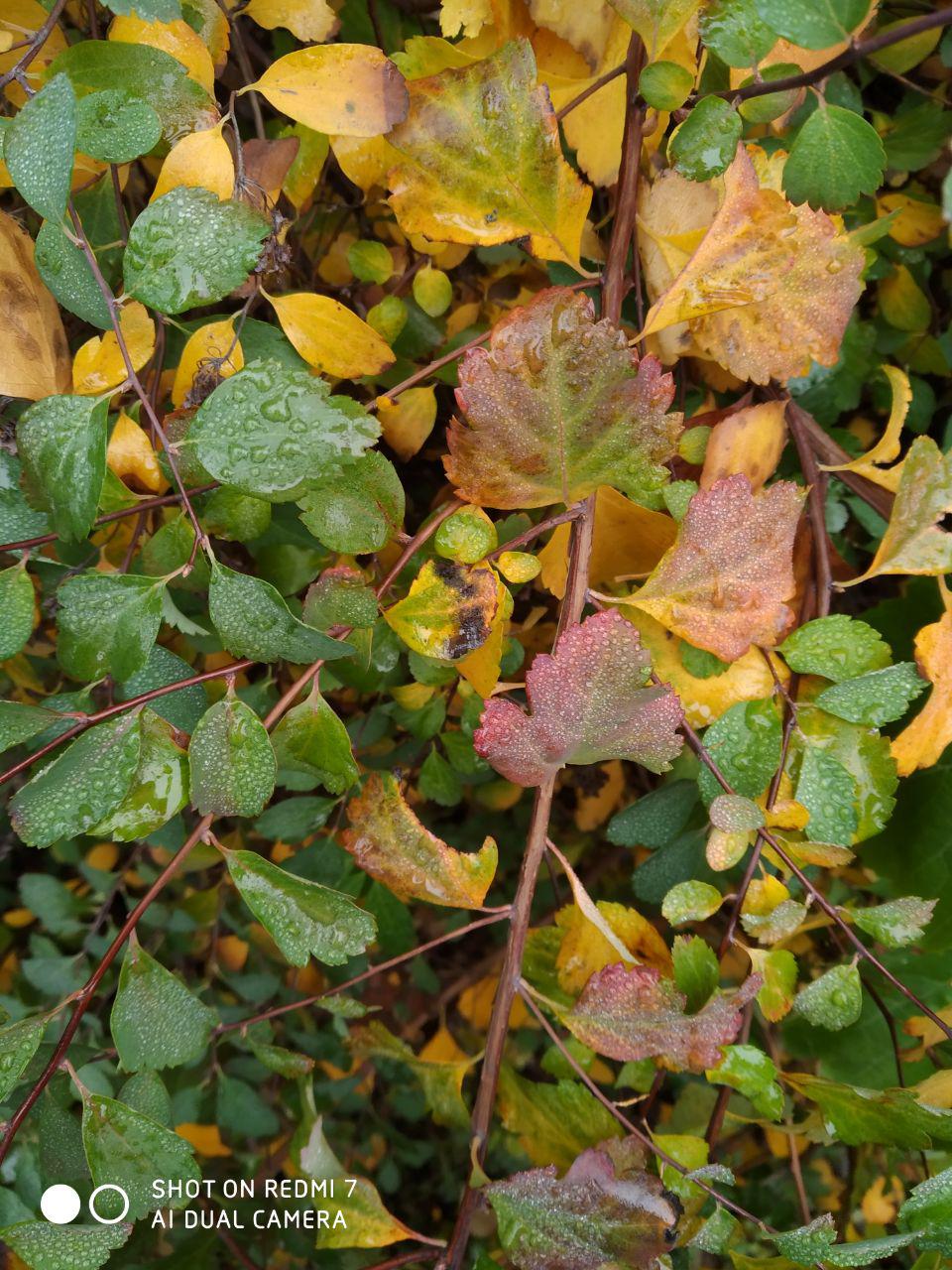 Photo 2019 11 10 11 51 51