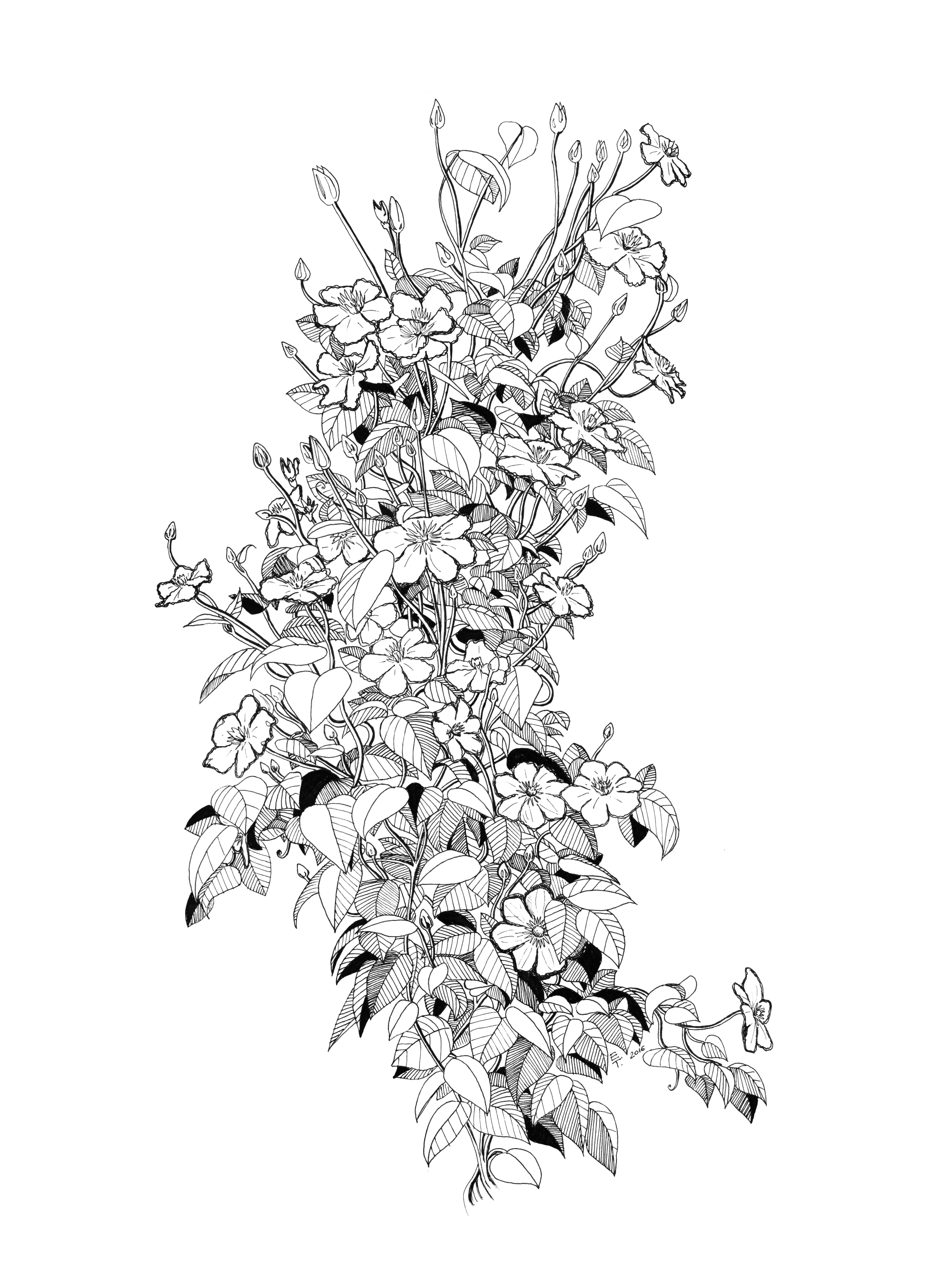 Blooming flowers %d0%b4%d0%bb%d1%8f %d1%81%d0%b0%d0%b9%d1%82%d0%b0