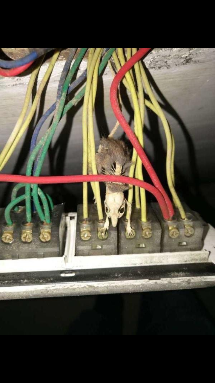 Screenshot 2019 11 18 21 54 25 820 com.vkontakte.android