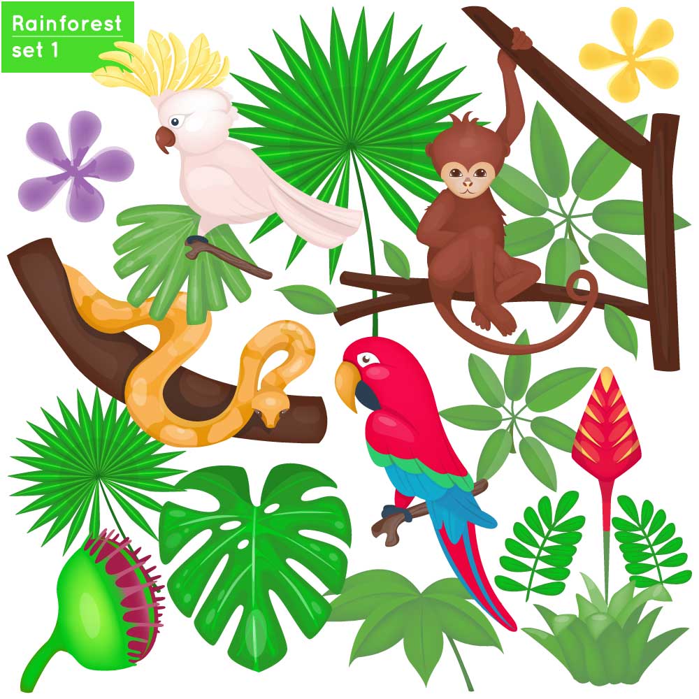 Rainforest set 1 0
