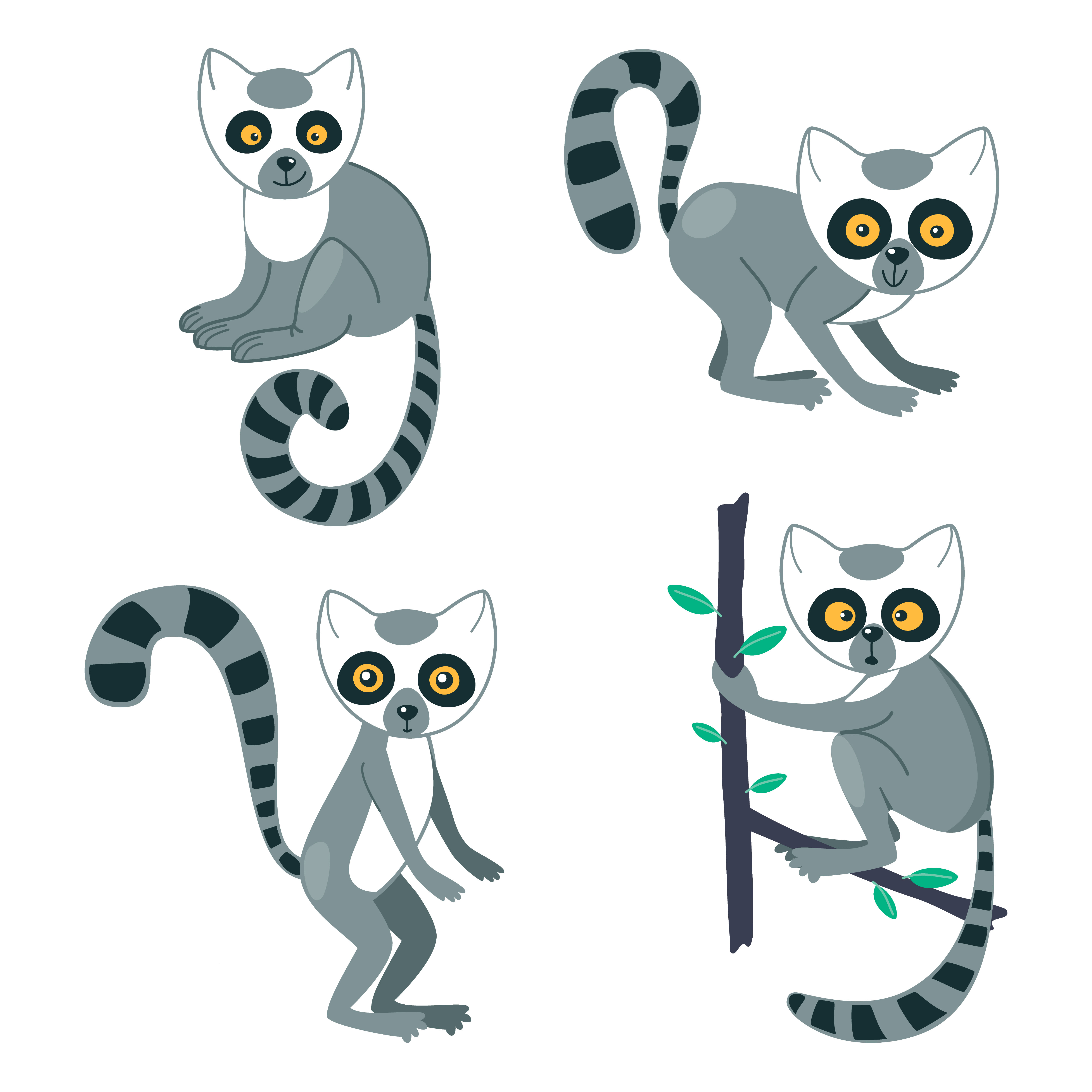 Lemur