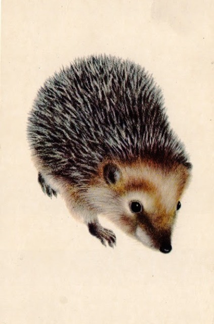 Yozhyk