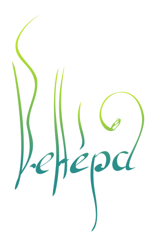 Venusproject