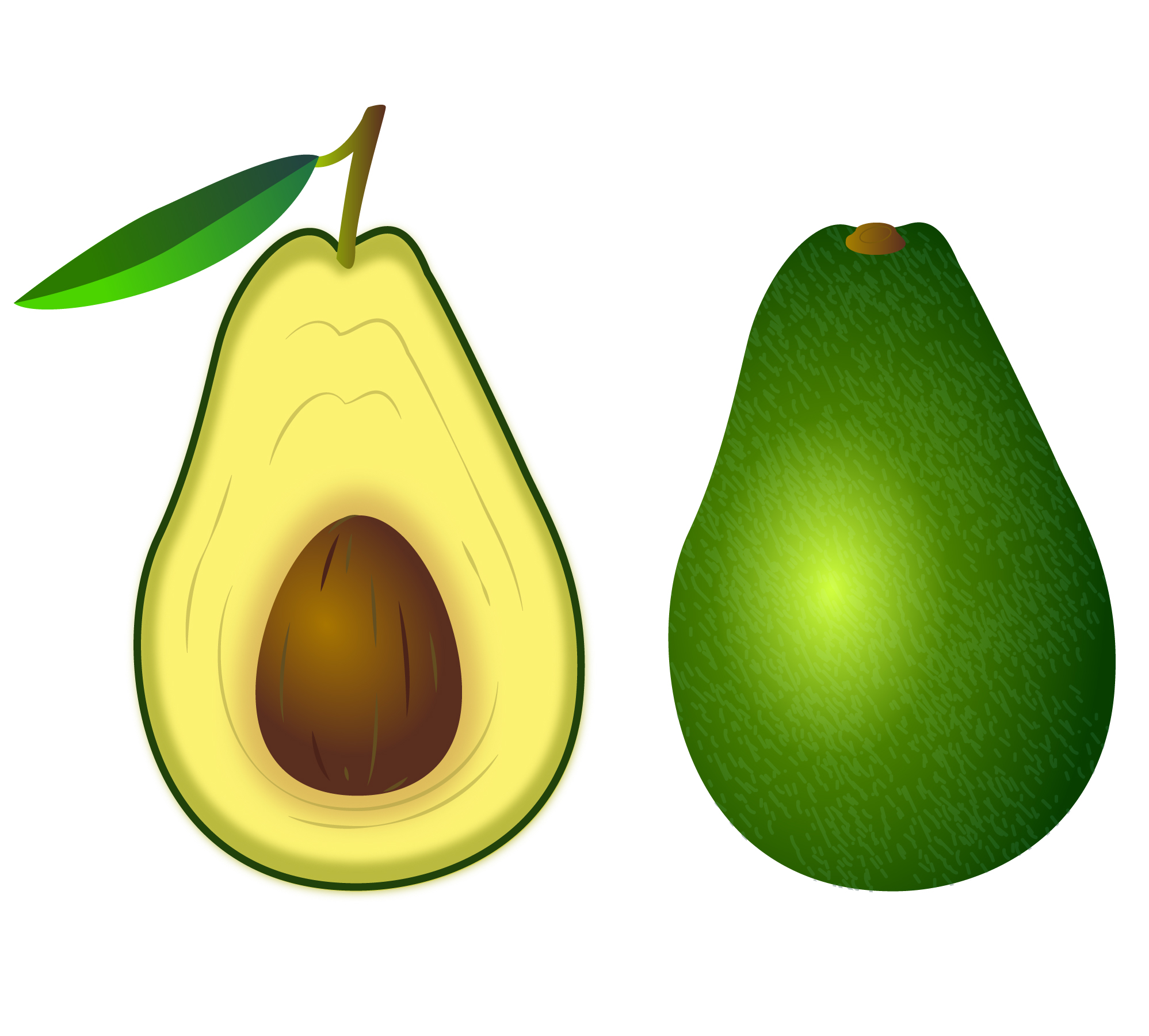 Avocado