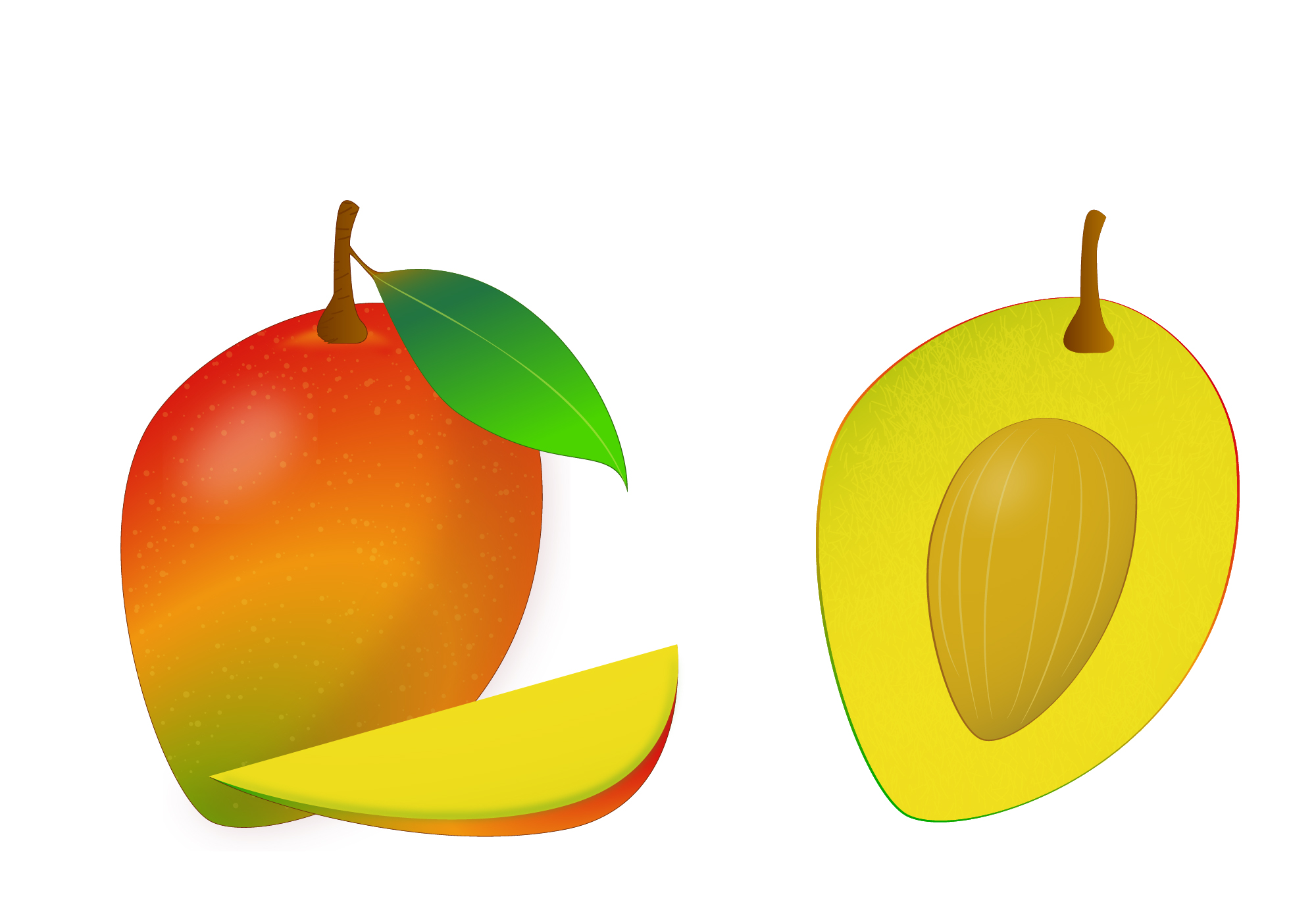 Mango