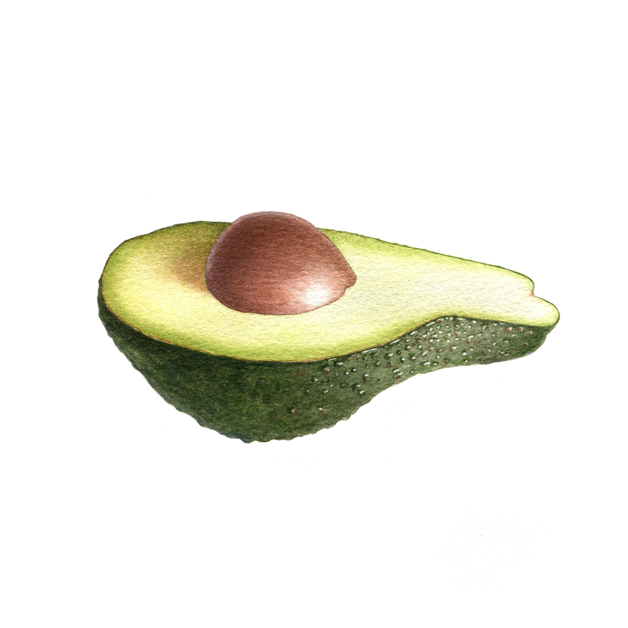 Avocado 300 2000x2000