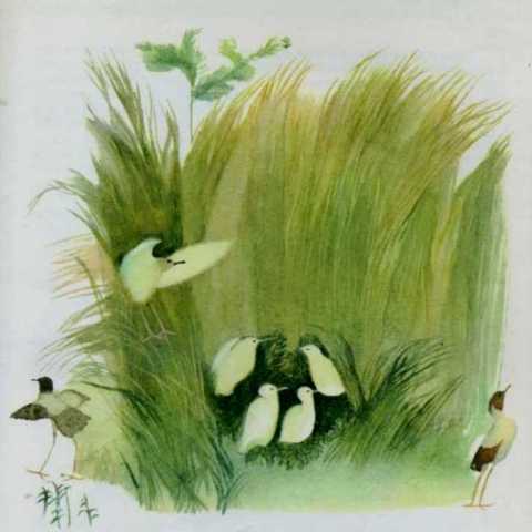 Img017