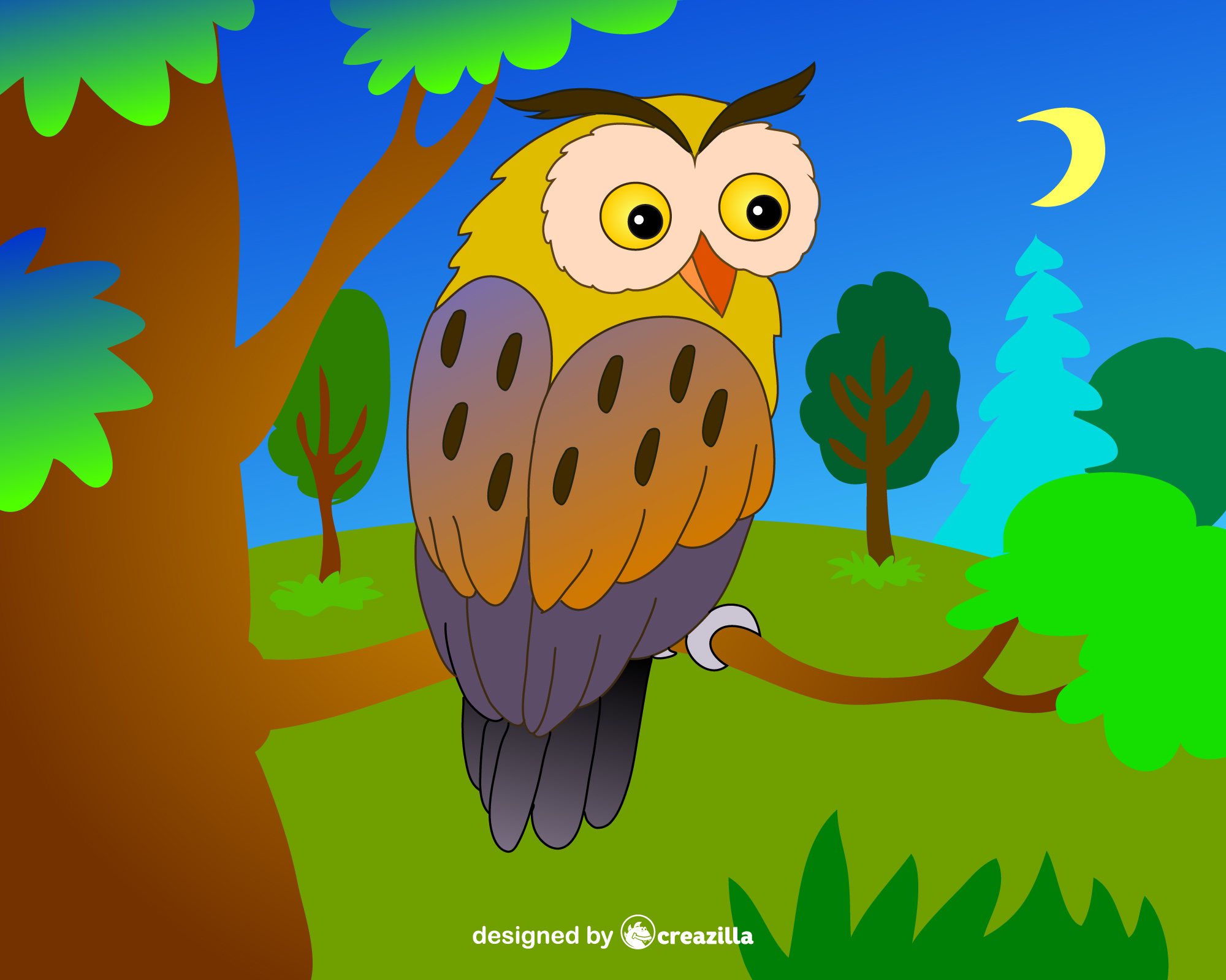 Owl