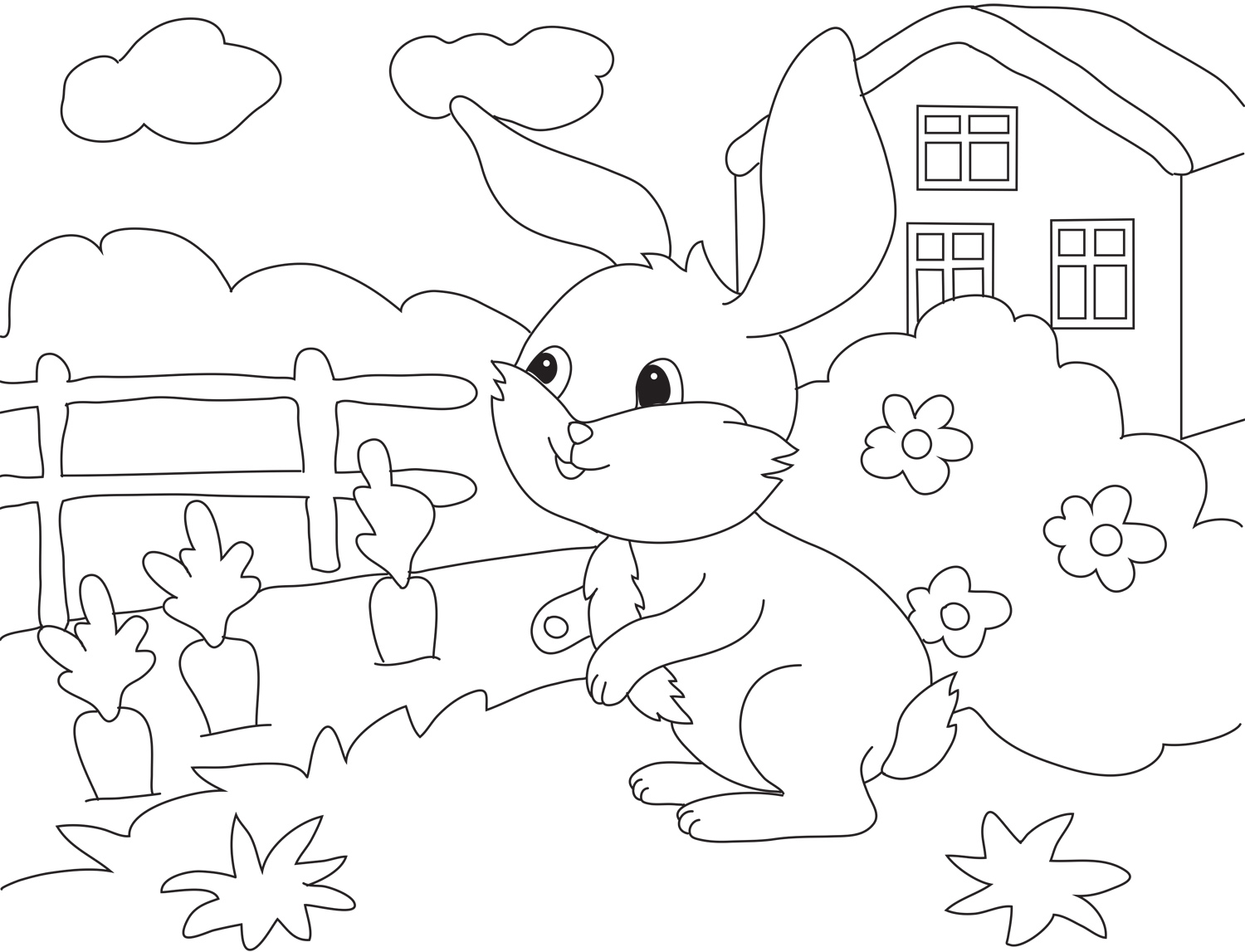 Bunny