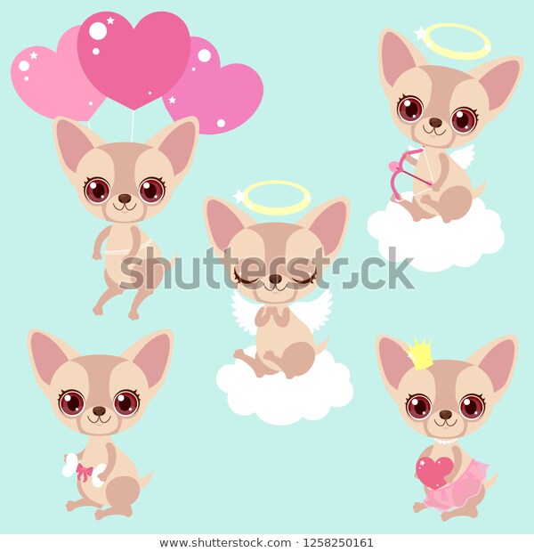 Set cute chihuahua dogs congratulations 600w 1258250161