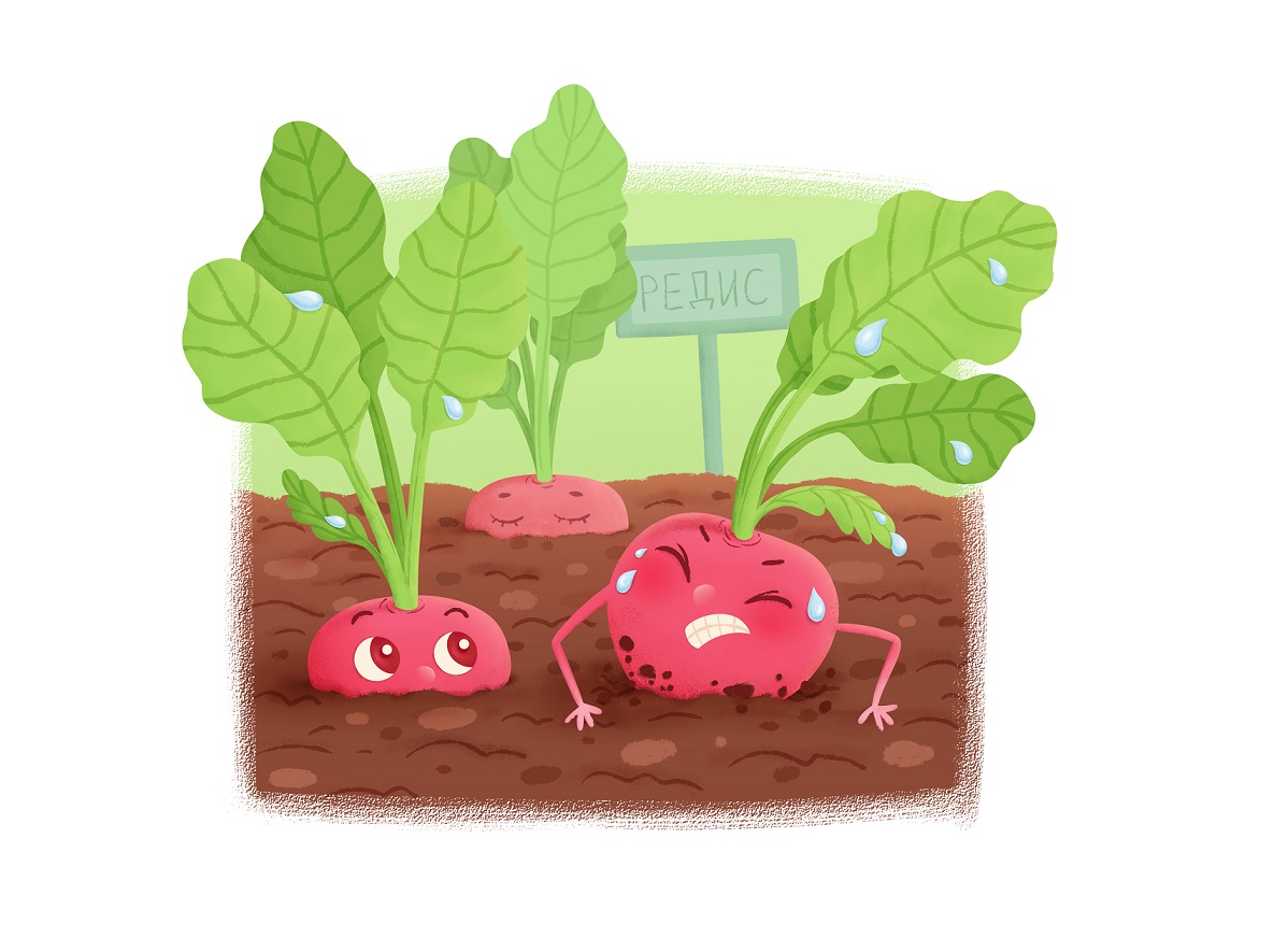 Worky radish