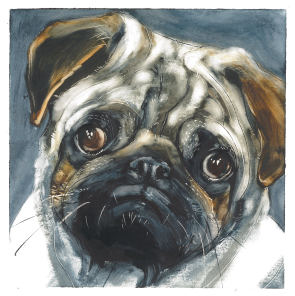 Mops srednij small