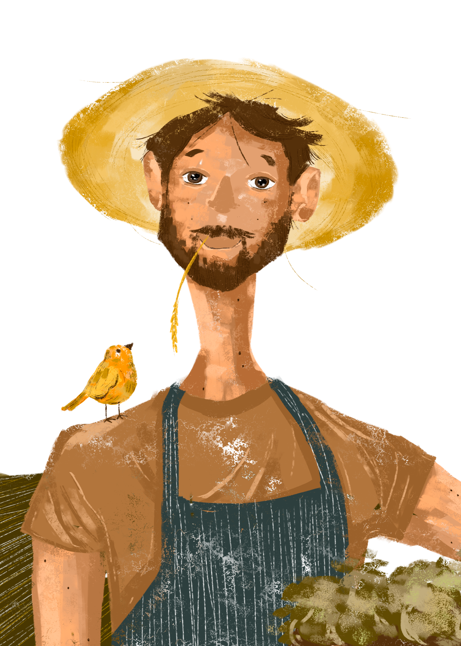 David