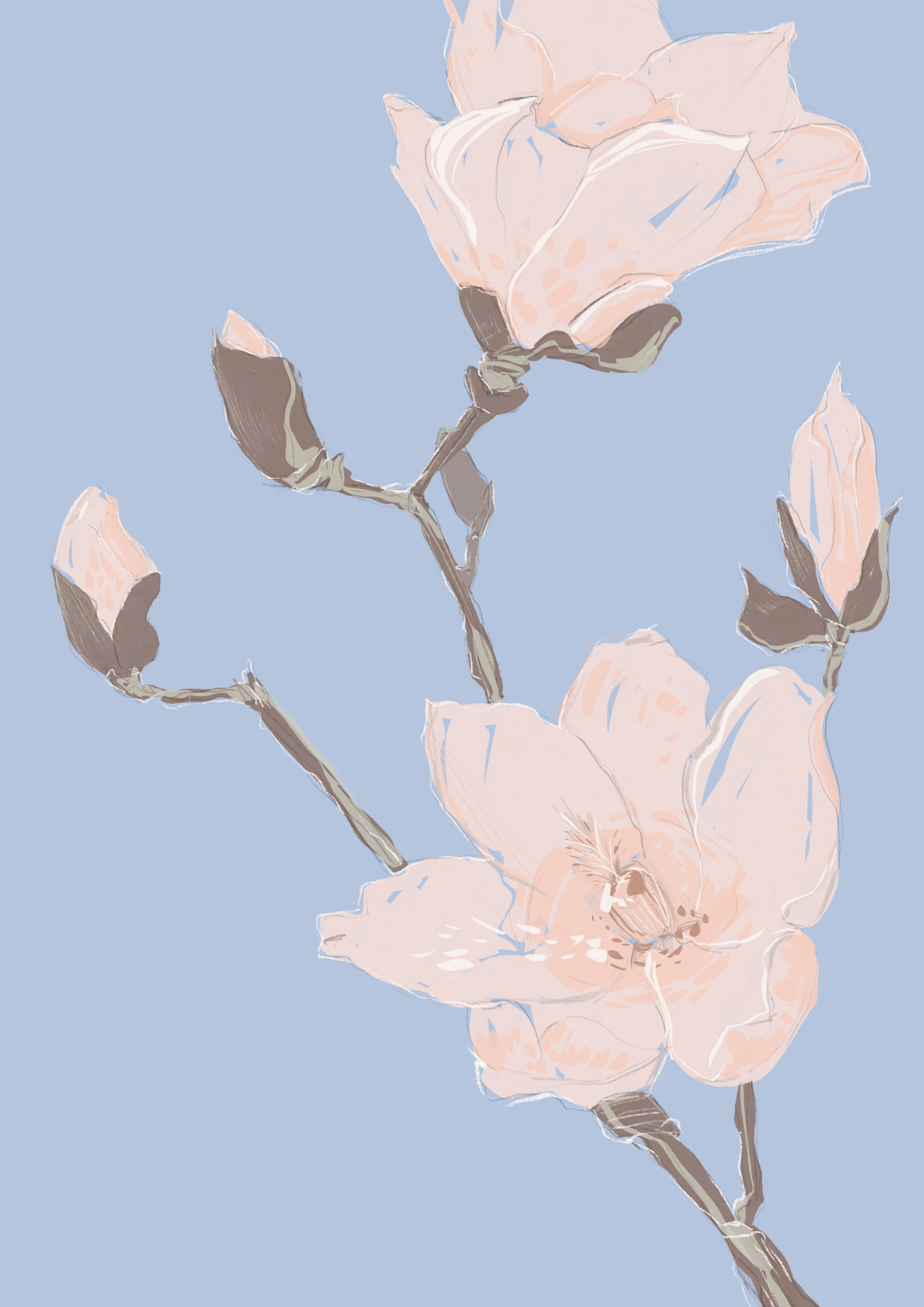 Blue flower 6500x4950 society