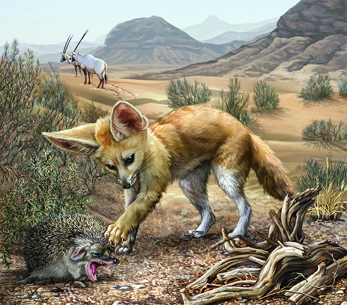 Animals 1