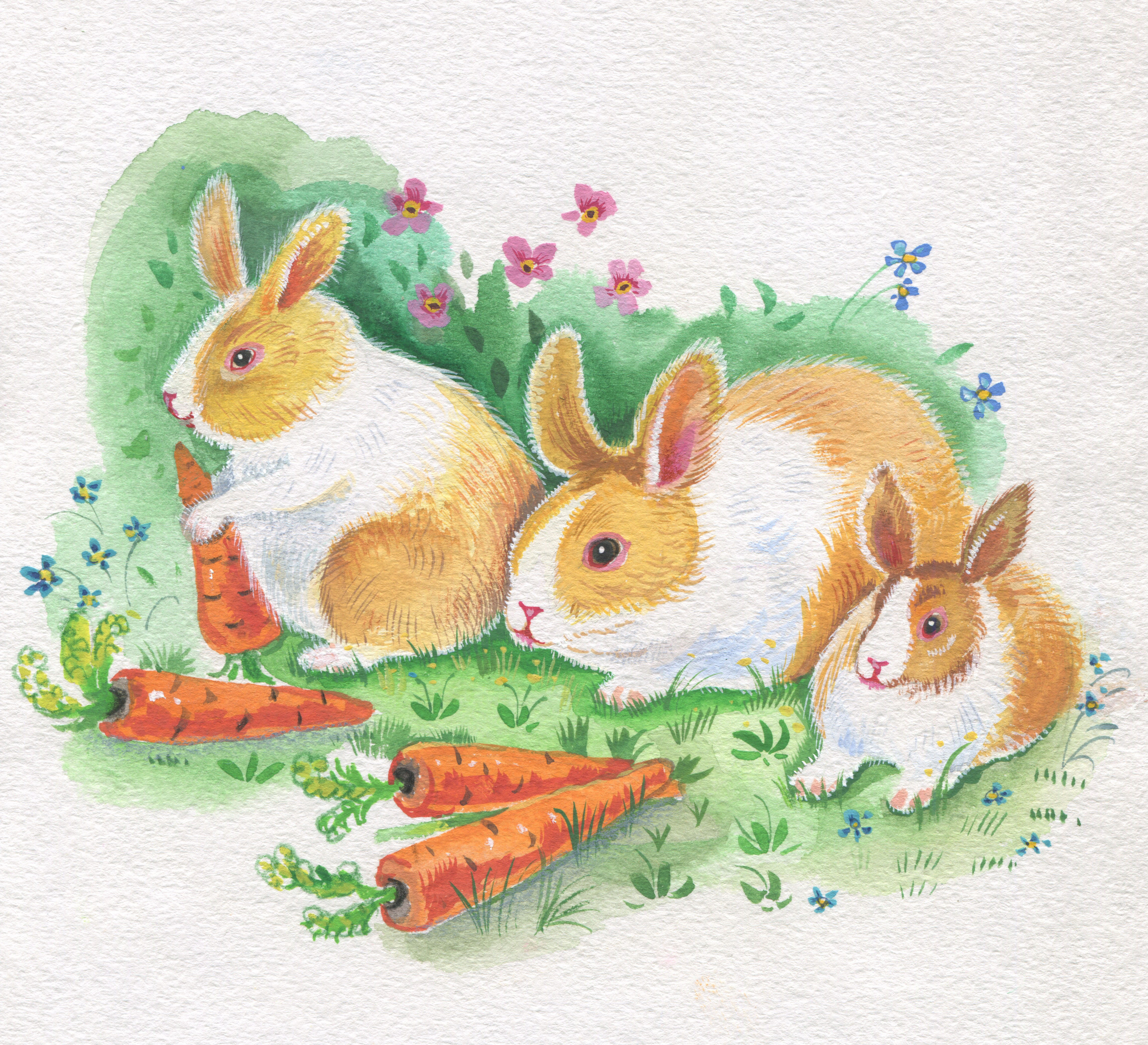 Rabits