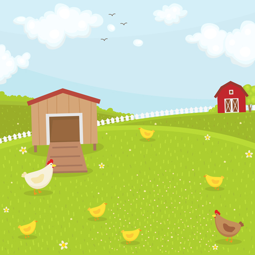 Farm chicken coop