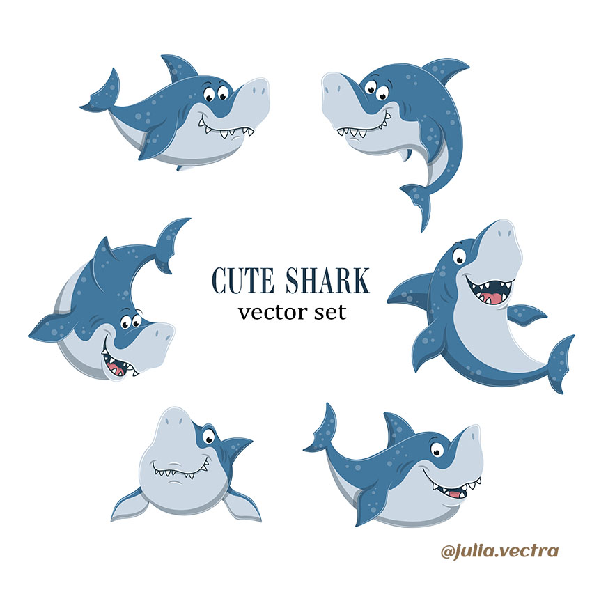 Shark for insta