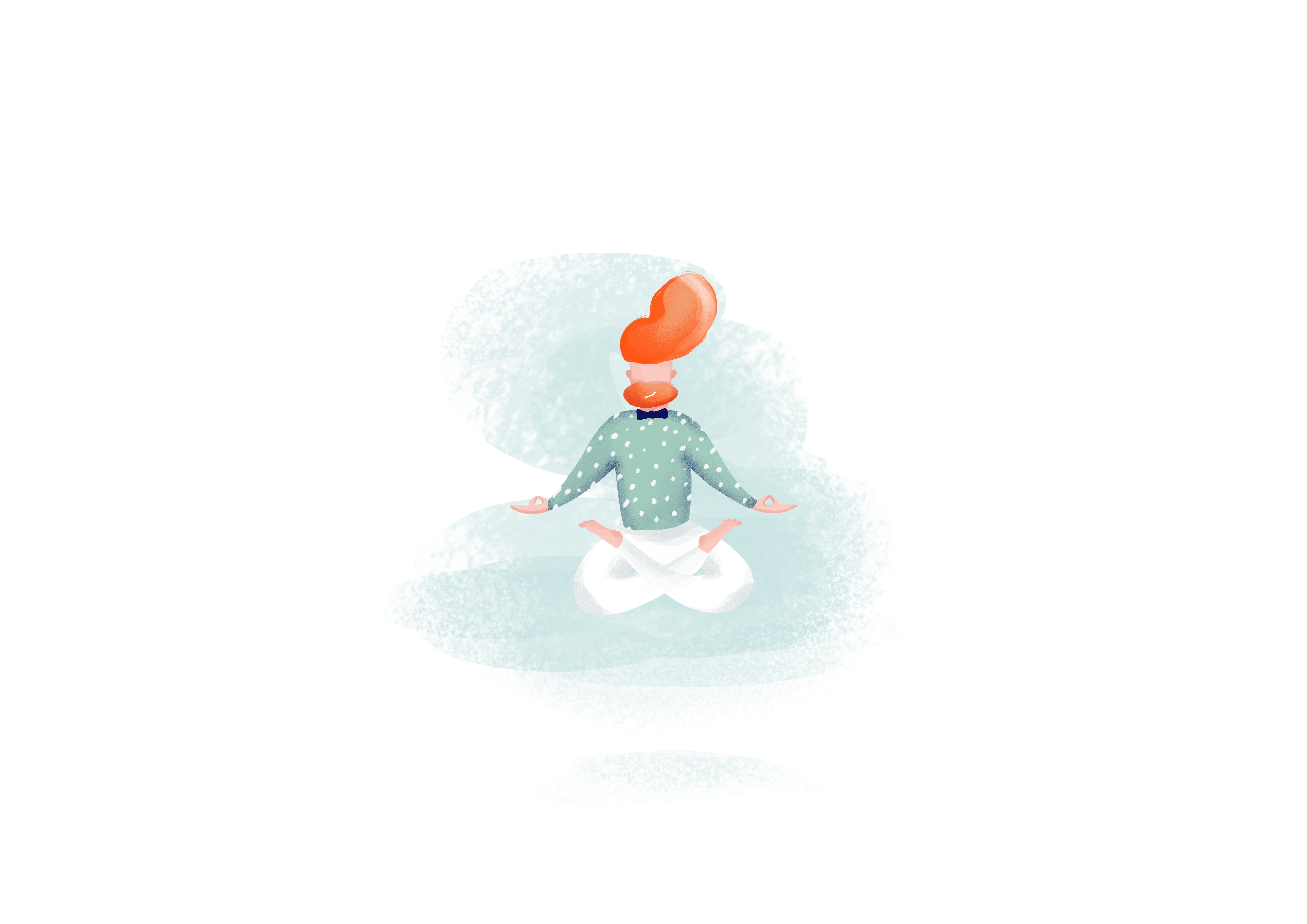 Illustration 1 format