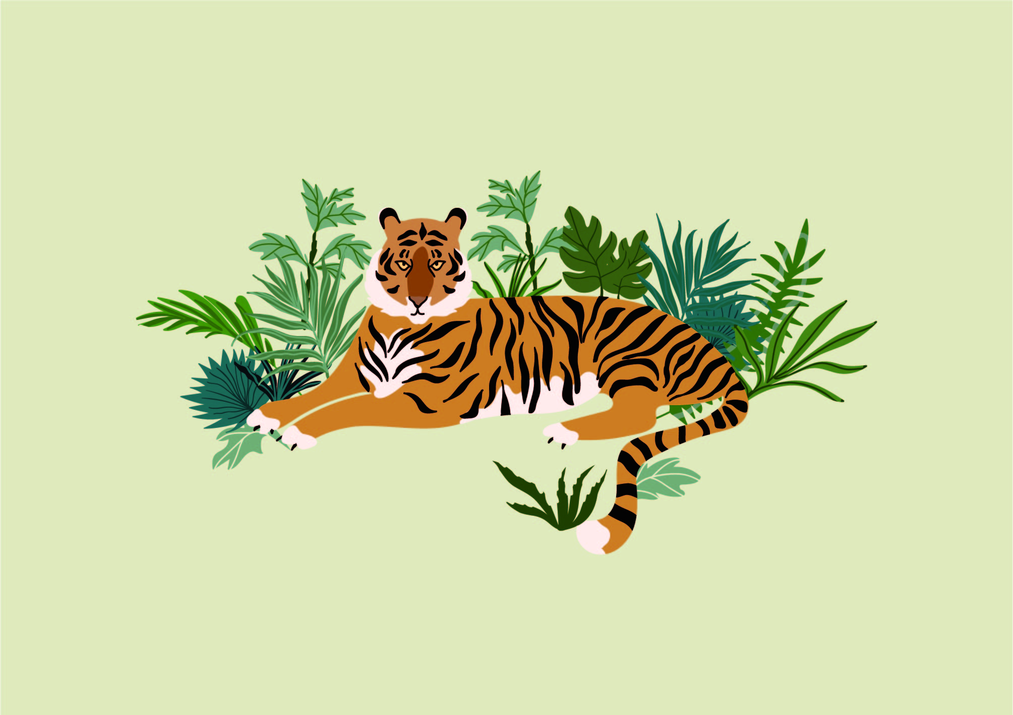 Tiger