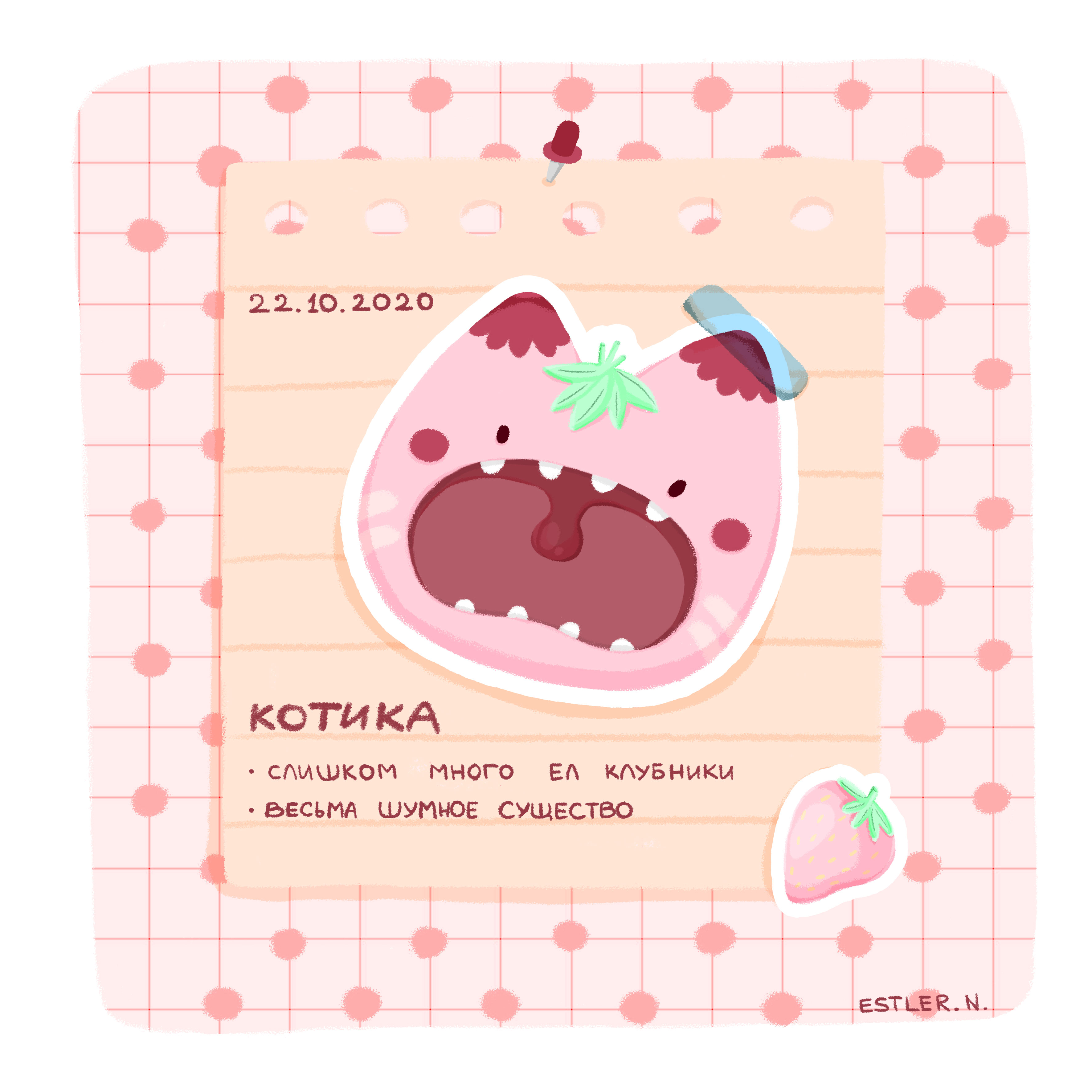 Kit kit2