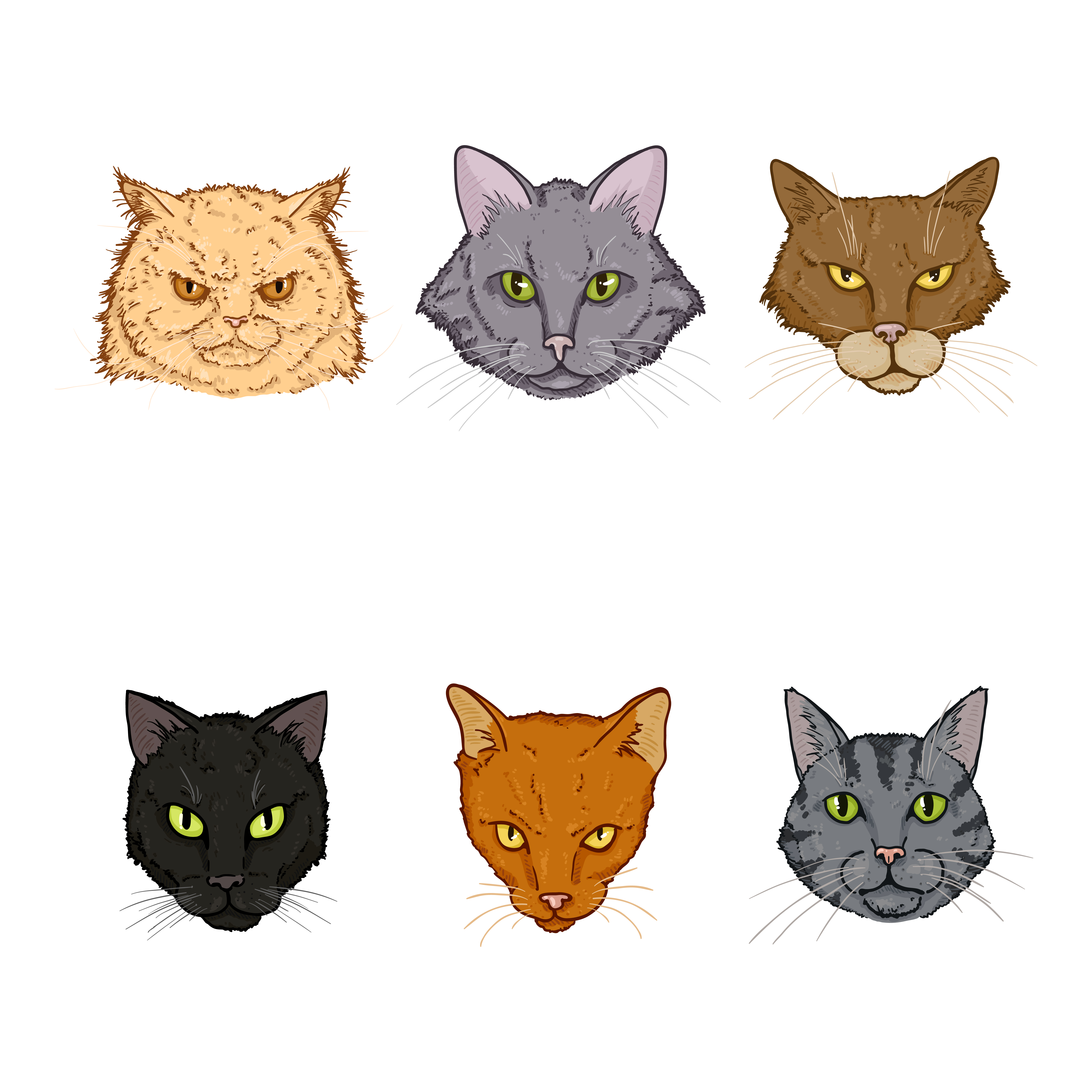 Cat face 01
