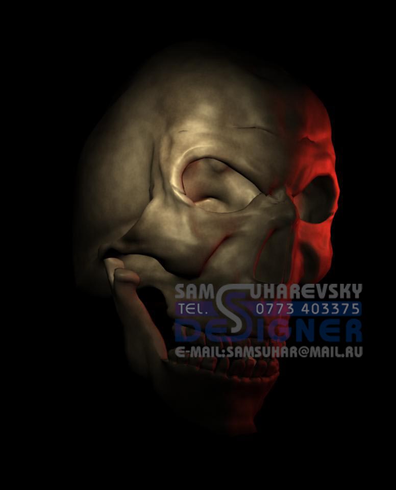 Skull