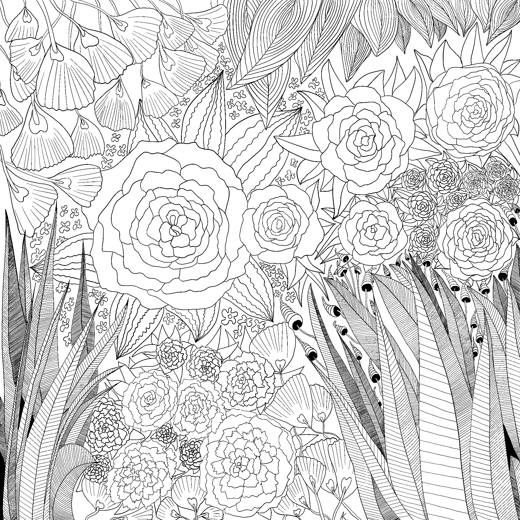 C5809c23 7fa5 4fcc bd06 cc6481d97103